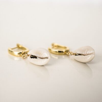 Ohrringe-Kauri-Muscheln-1x1 Ohrringe-Kauri-Muscheln-1x1